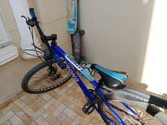 Mountain bike