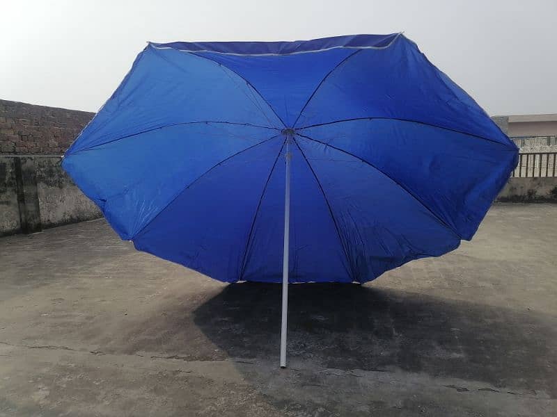 6ft/8ft/10ft Chinese umbrella available 3