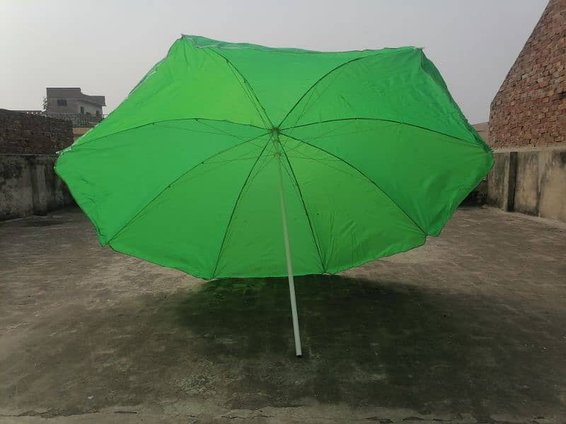 6ft/8ft/10ft Chinese umbrella available 4