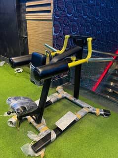 plate loaded side lateral machine and tricep dips machine