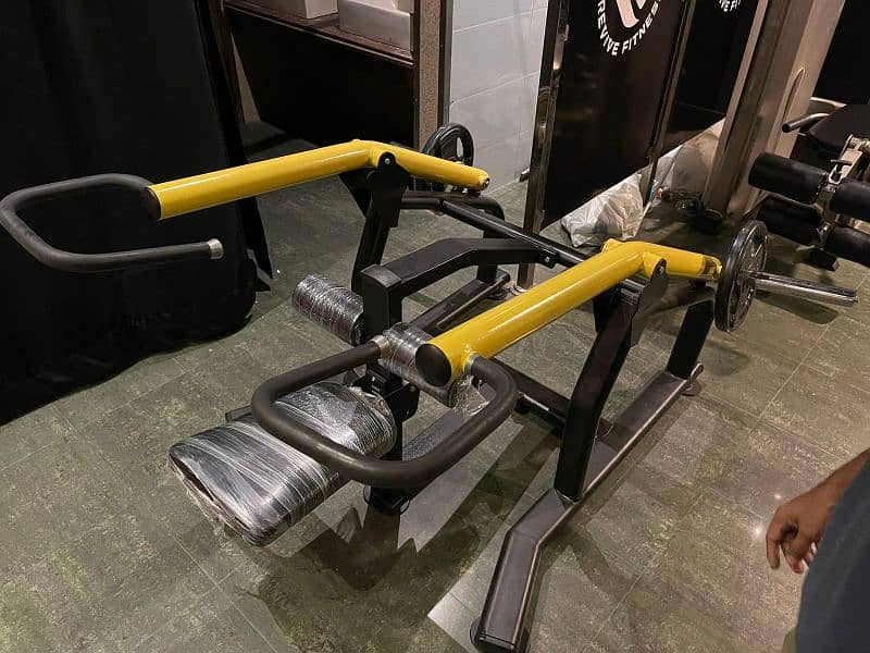 plate loaded side lateral machine and tricep dips machine 1