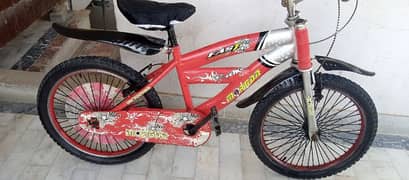 2 sport cycles size 20