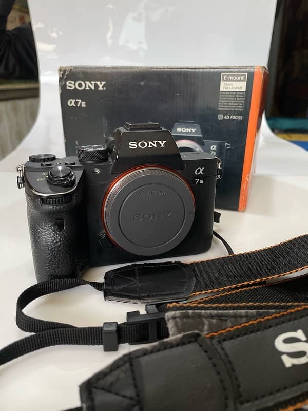 Sony a73 8