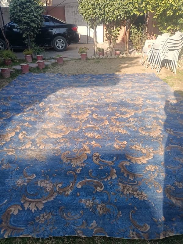 Room carpet for sale 1