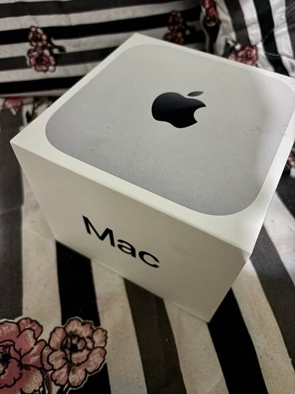 Mac Mini M4 2