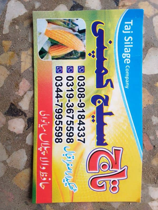 Taj silage company 0308 9184337 Whatsapp 5