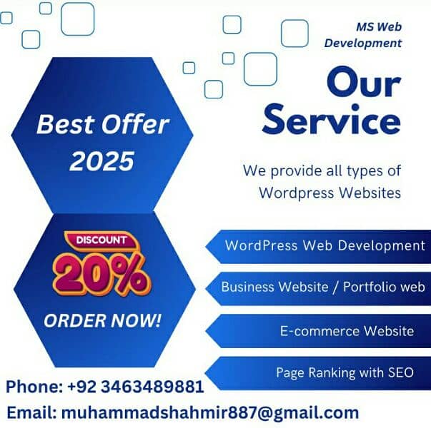 All types of WordPress website services 0