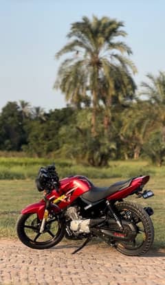 Yamaha Ybr 125 G Red Modified (read ad)