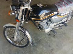 urgent sale bike