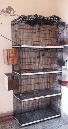 big cage for sale