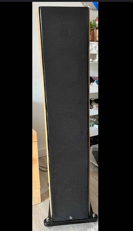 Roth OLi 40  UK Floor Standing HiFi Tower Speakers Home Theater 4