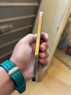 iphone 12 pro max golden