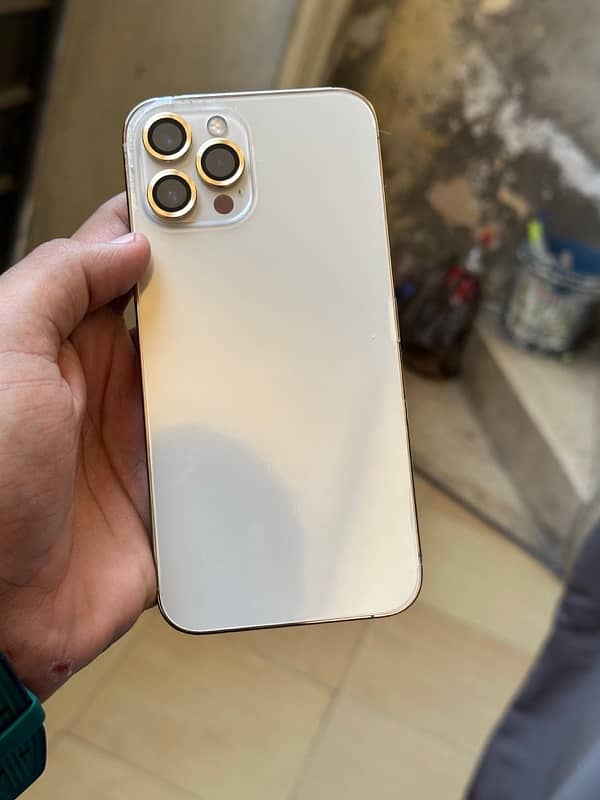 iphone 12 pro max golden 1