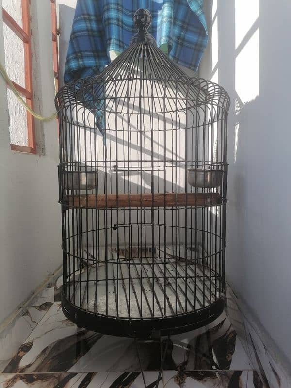 parrot cage 2