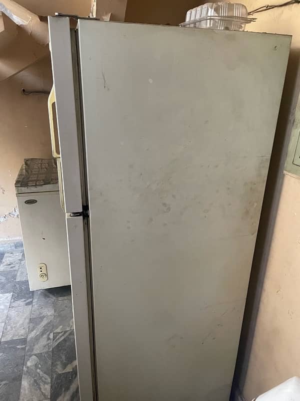 magic chef american refridgerator (urgent sale) 5