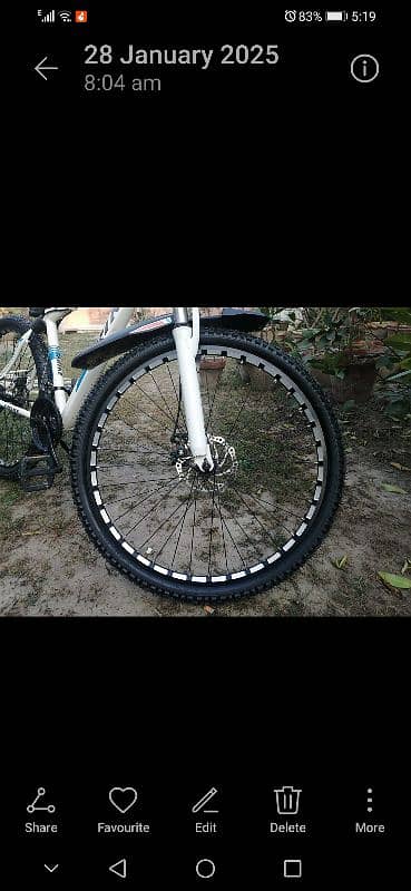 cycle frike imported 26" 6