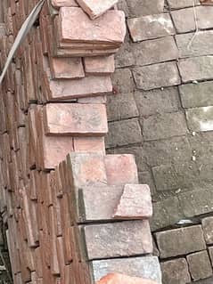 bricks tails