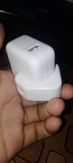 Original Apple charger