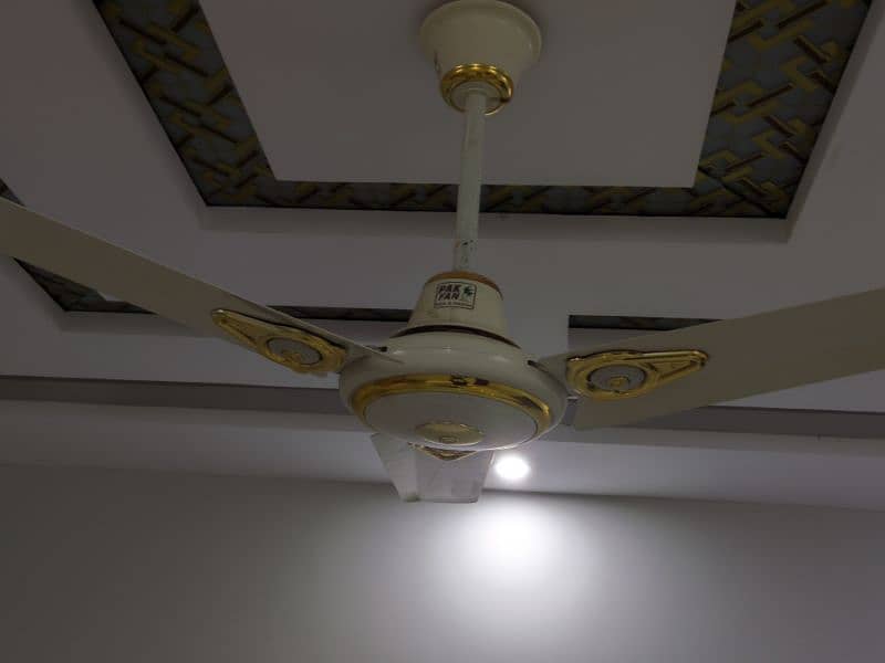 Pak Fan Ceiling Fan | Just Like New 1