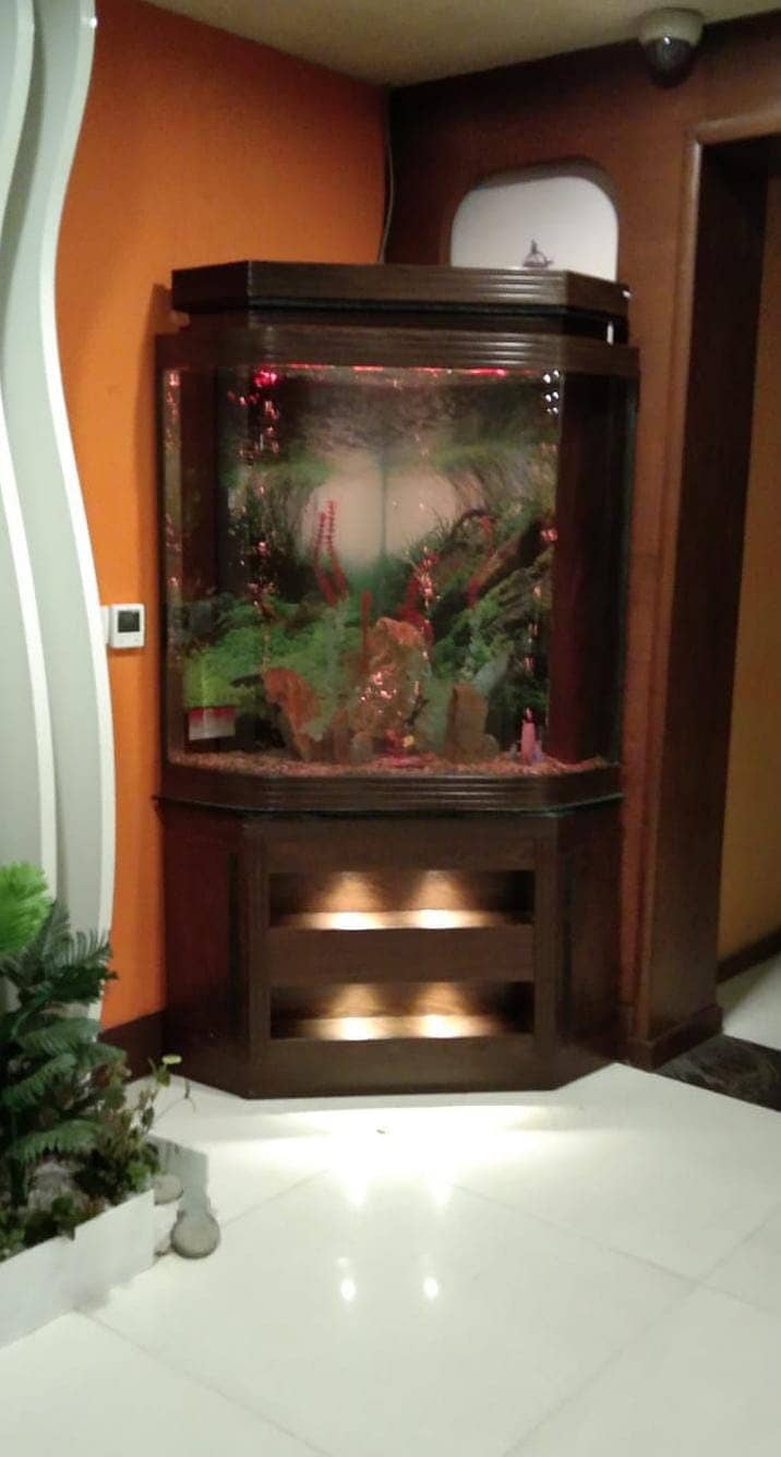 Fish Aquariums/Aquariums/Fish/Aquarium for sale 6