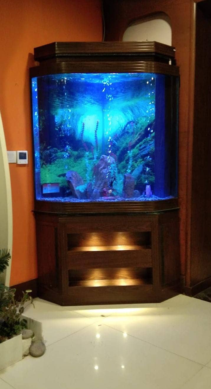 Fish Aquariums/Aquariums/Fish/Aquarium for sale 8