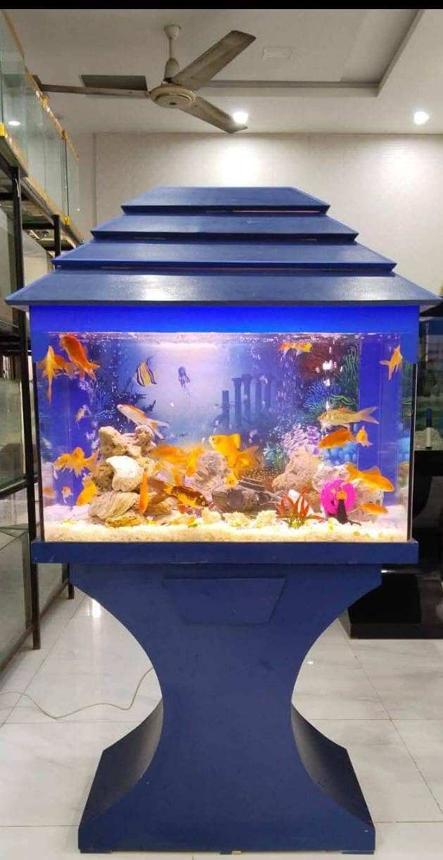 Fish Aquariums/Aquariums/Fish/Aquarium for sale 13