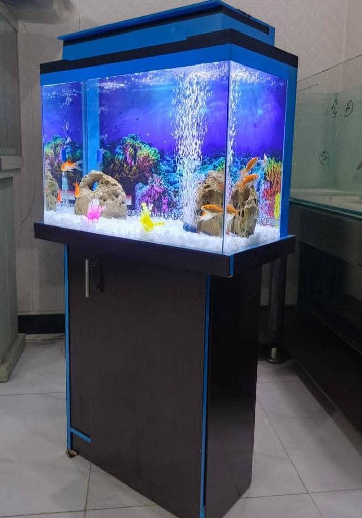 Fish Aquariums/Aquariums/Fish/Aquarium for sale 17