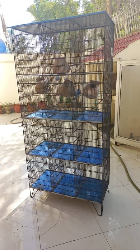 birds cage 12 portion 1