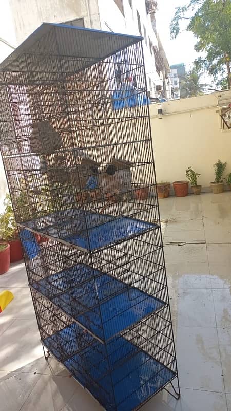 birds cage 12 portion 3