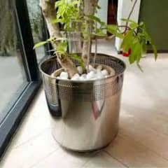 stainless steel planters 03075487298 Rawalpindi