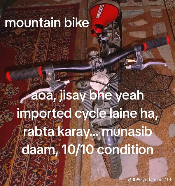 mountain bike 0