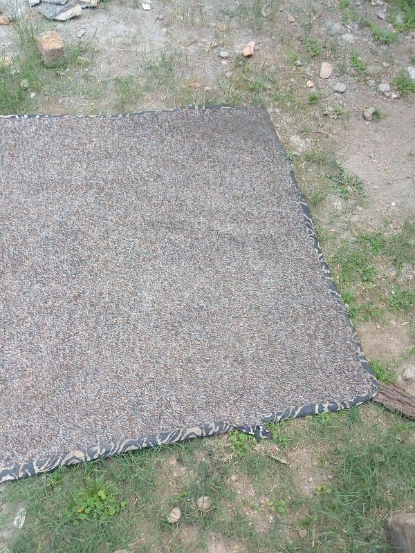 carpet for sale 1