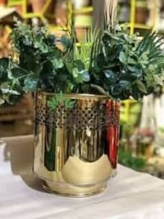 golden planters 03075487298 rawalpindi