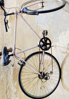 speed bicycle,