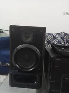 pioneer sound system