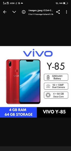 Vivo