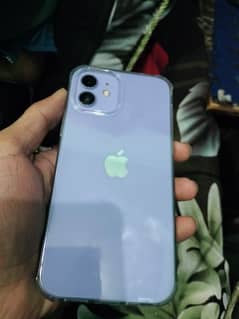 iPhone 12 Total genuine