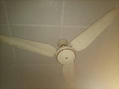 100% copper winding fan for sale reasonable price