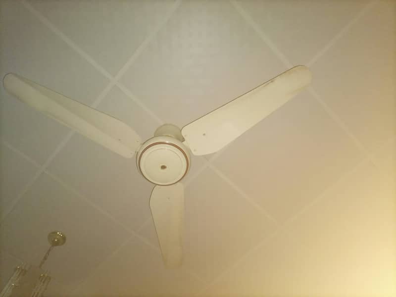 100% copper winding fan for sale reasonable price 1