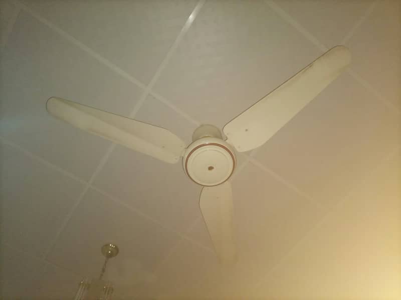 100% copper winding fan for sale reasonable price 2