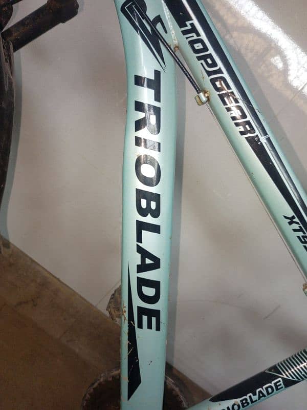 TRIOBLADE high demand cycle 1