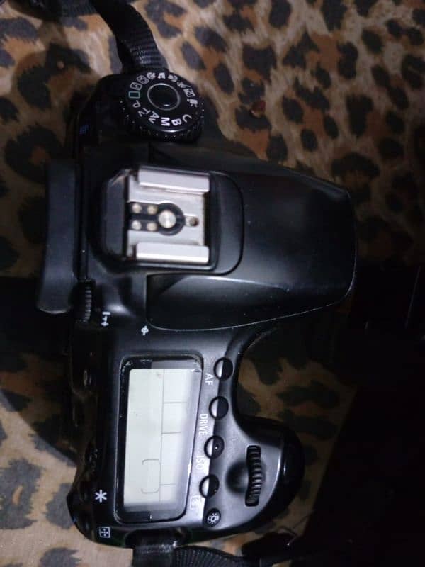 60d Canon body 3