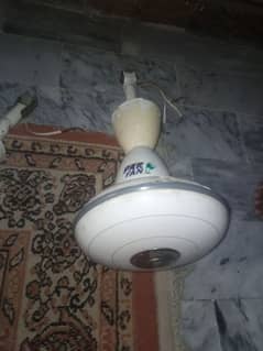 300 per kg fan