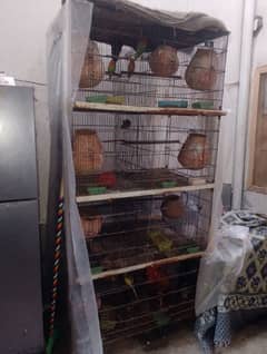 8 portion Folding Birds Cage