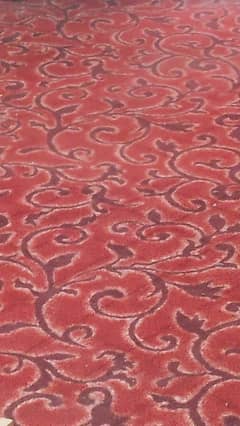 carpet