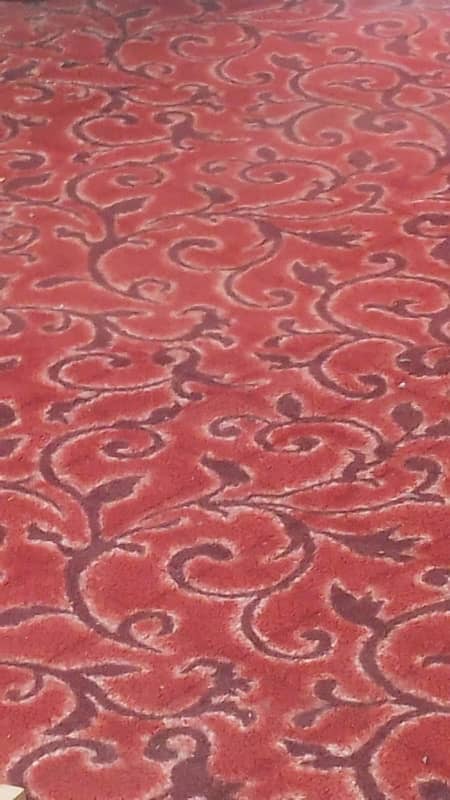 carpet 11/14 0