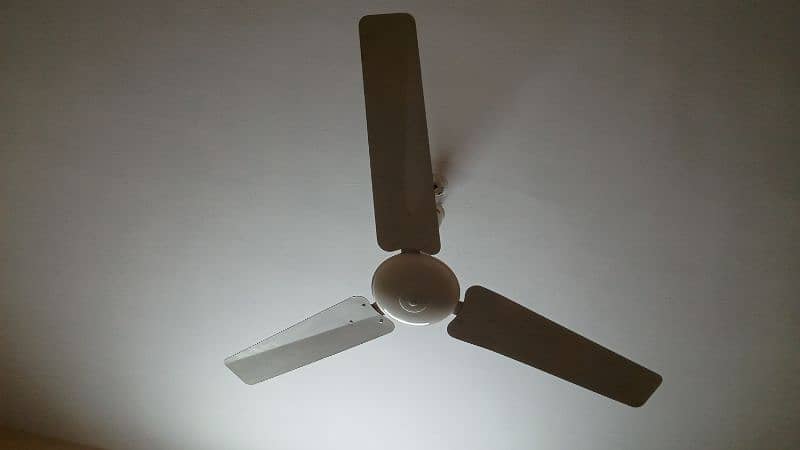 2 Pak Fan ,1 Royal and 1 Citizen total (04) 56 inch fans 1