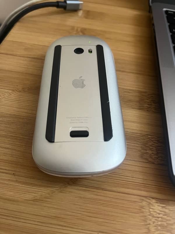 Apple mouse 1 0