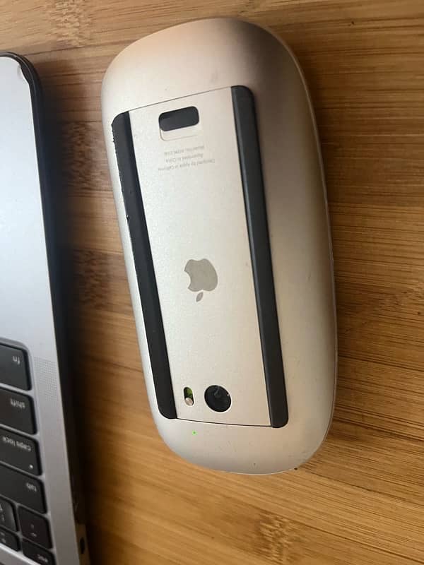 Apple mouse 1 1