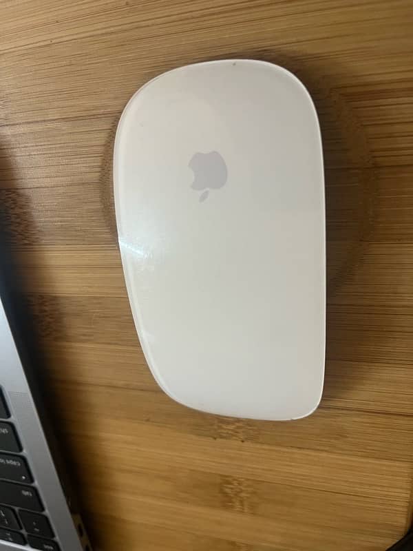 Apple mouse 1 2